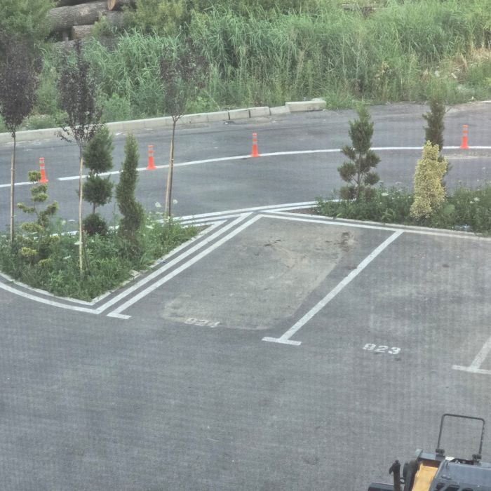 Apartament de inchiriat in Iasi / Visoianu