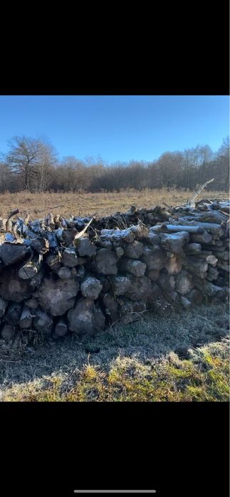 Vand lemne. … USCATE…. amestec de stejar, carpen, maracine, jugastrul.