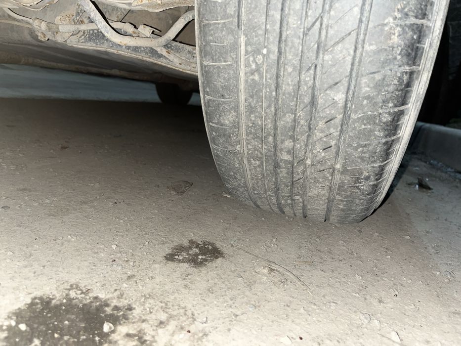 Linea Sport диск