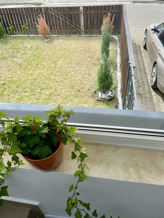 Inchiriere Vila Tunari/Otopeni