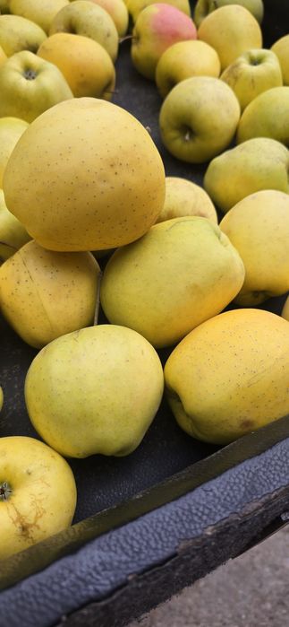 Mere de vânzare Calitate superioară