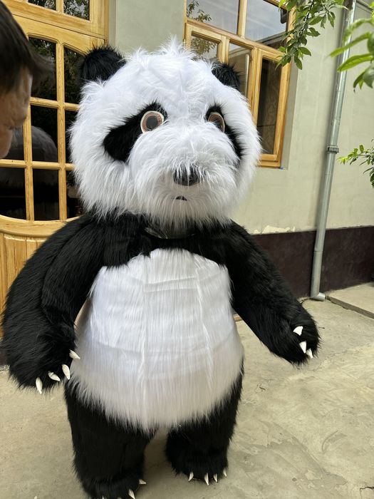 Ayiqlar sotiladi sotilad