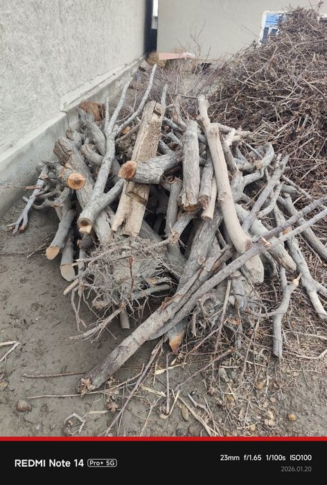 Oʻtin yogʻoch.. ..