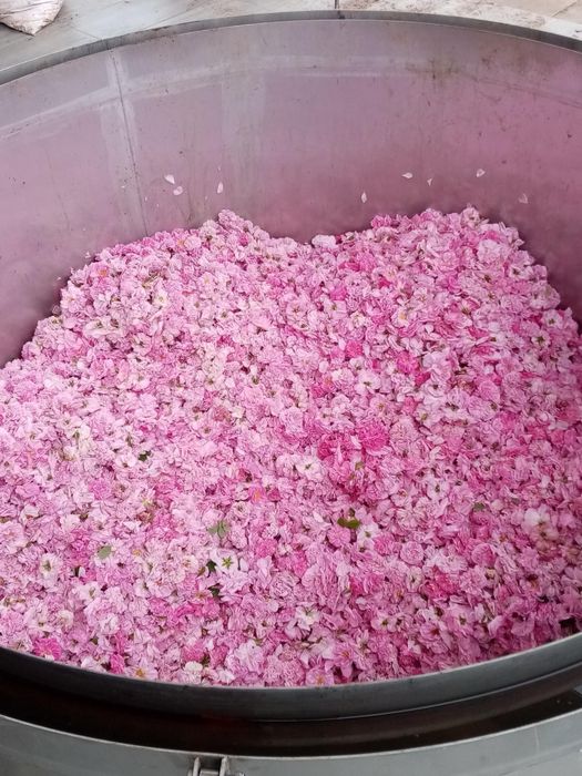 Розова вода от собствена дестилерия