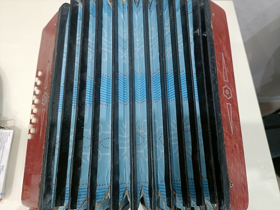 Аккордеон Малыш рабочий