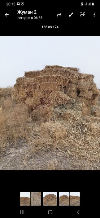 Жонышка прес жонышка