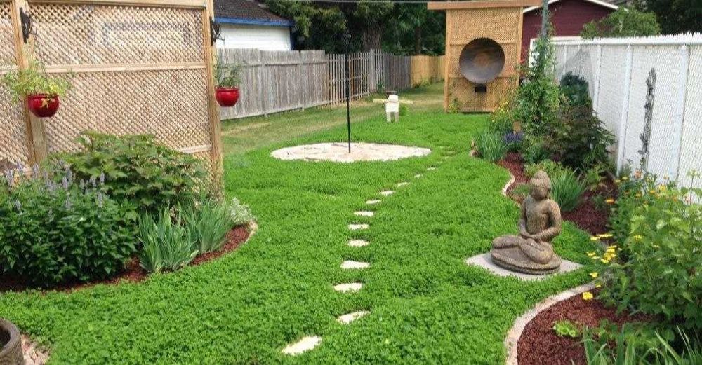 Ландшафтный дизайн, Рулонный газон, продажа и установка