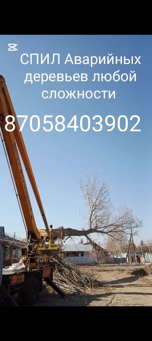 Пилим аварийные деревья!