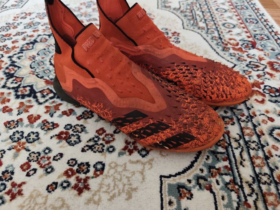 Продам сороконожки Predator