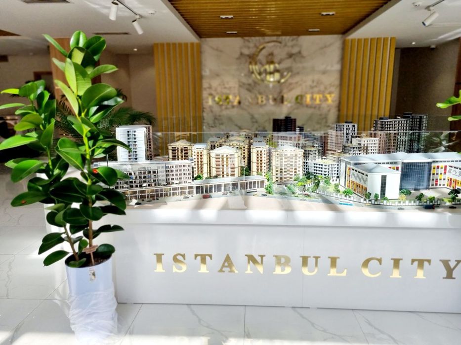 Офисные растения цветы. Оформление офисов, гостиниц цветами.