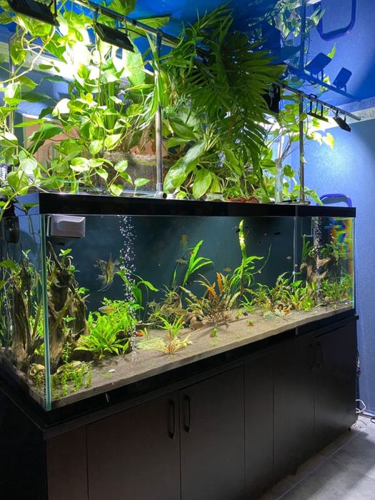 Продам аквариум на 1000 л