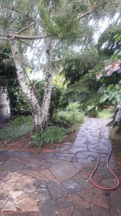 Продам дом с готовым бизнесом.