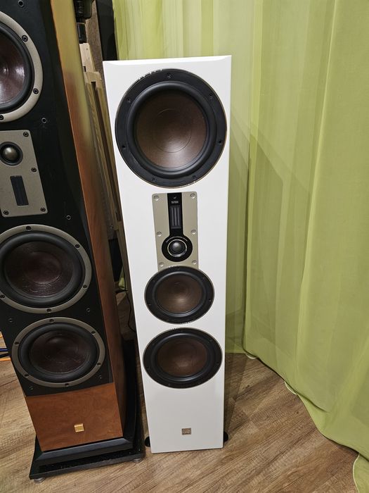 Vand boxe standfloor Dali Opticon 8