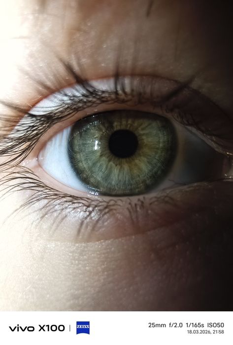 Vivo x100 Global 16+16/512