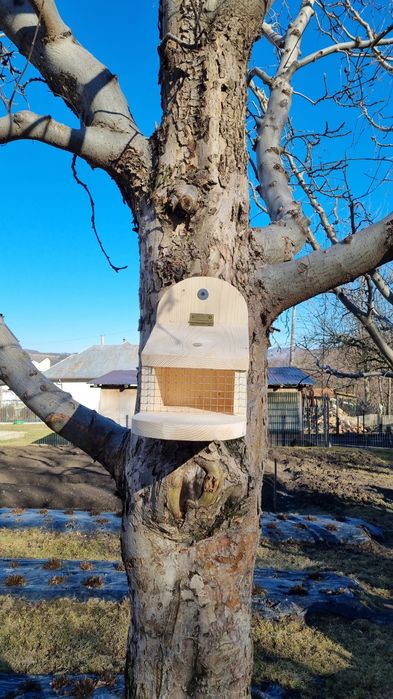 Hranitoare veverițe