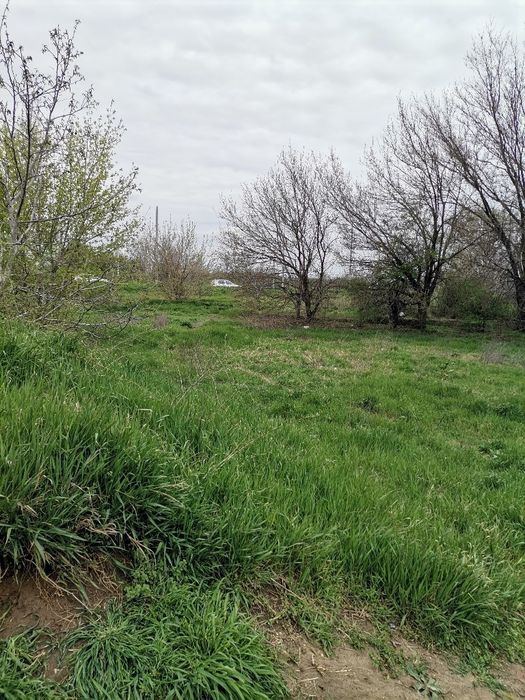 Продава се Парцел в Видин, в.з. Акджамия - 384 кв.м за 52 €/кв.м - Снимка #3