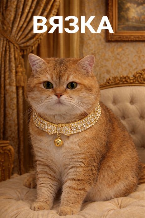 Вязка под котенка британский