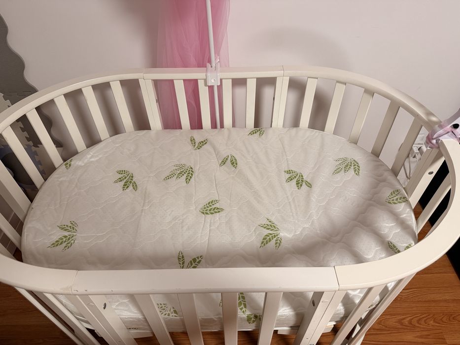 Patut bebe oval, evolutiv