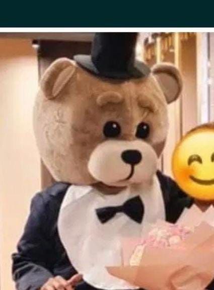 ТЕДДИ МИШКА  зайка прокат костюма, аниматрские, робот трансформер