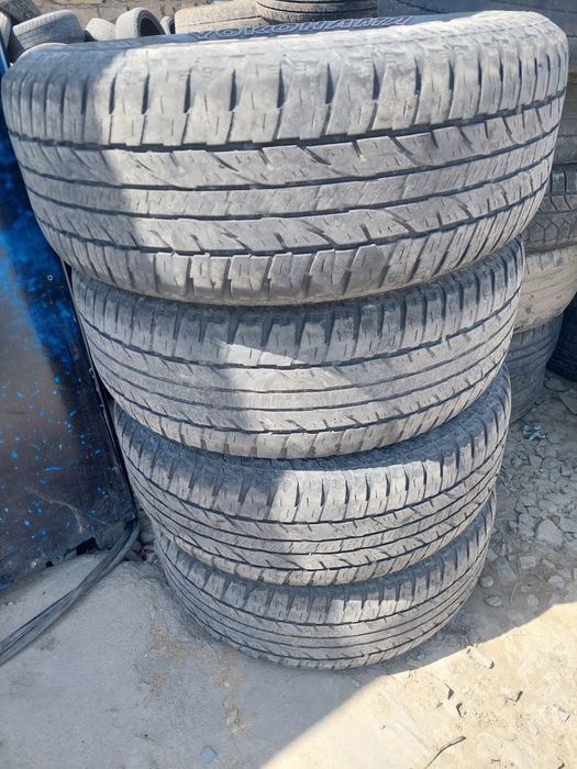 Пакришка летни бар