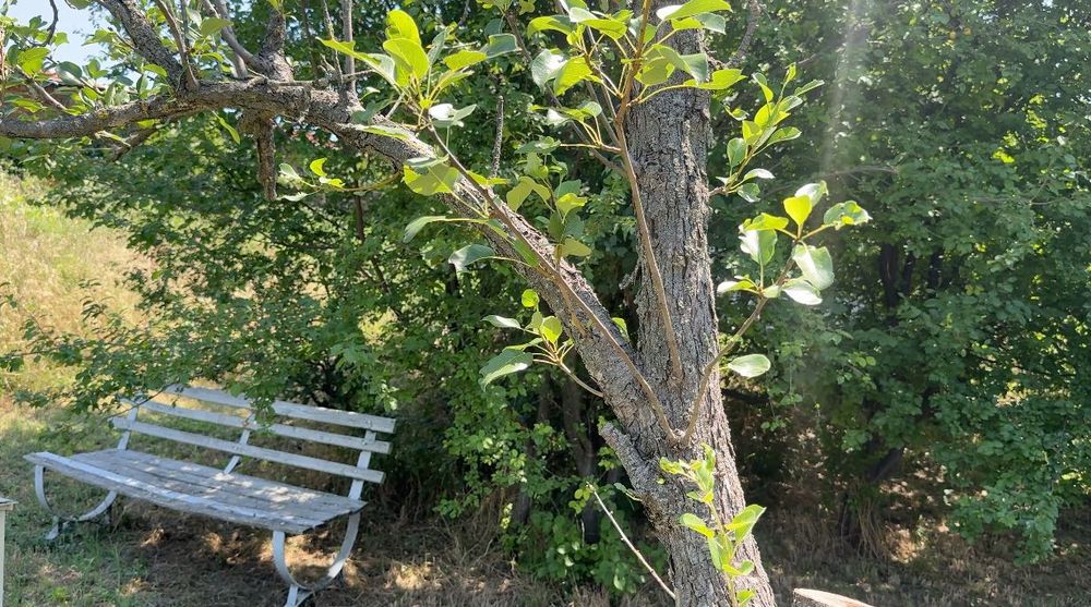 Реновирана къща в красиво село близо до Ловеч