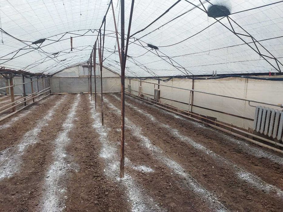 Issiqxona 20×13 m | Теплица 20×13 м