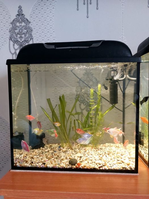 Аквариум  2 шт 25литр  40литр