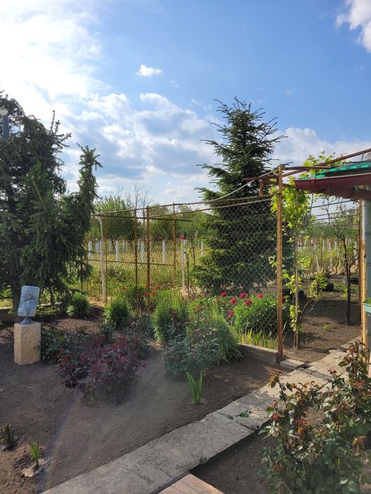 Vând casa com Comana