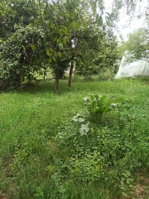 Vand teren intravilan DEJ