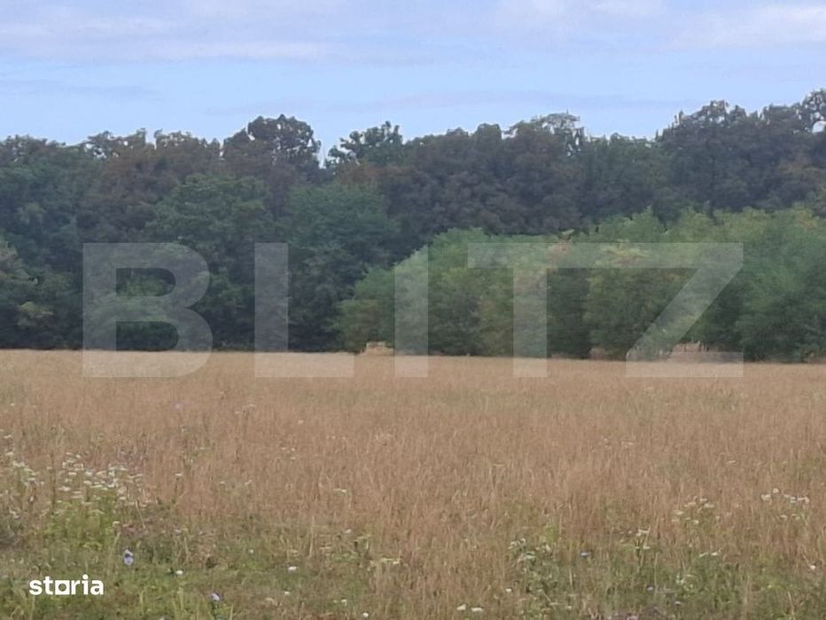 Padure de vanzare, 0,75 hectare, zona Suta Seaca