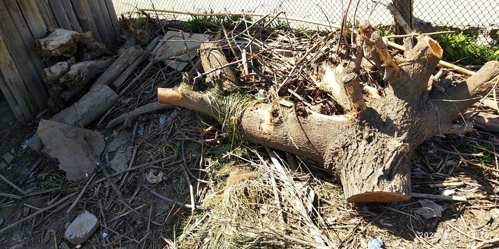 Утин бор анча, сотилади