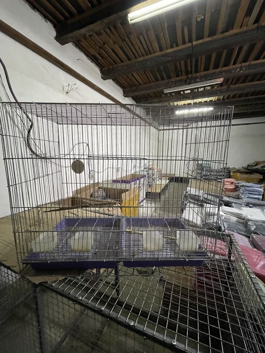 Qafas narxi vapshem arzon