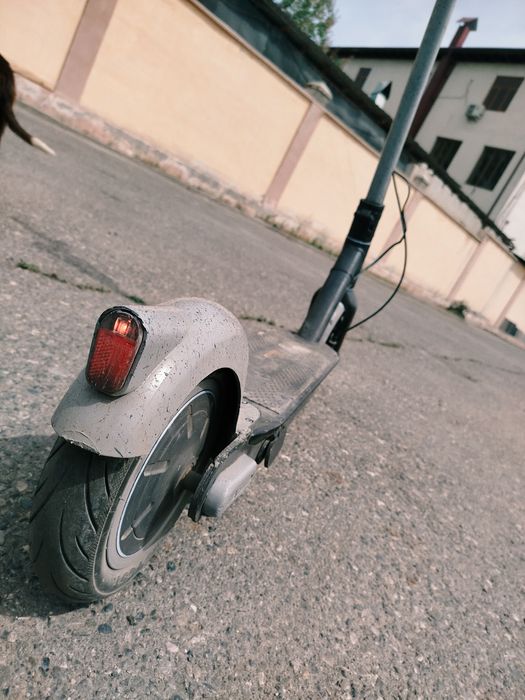 Самокат ninebot g30