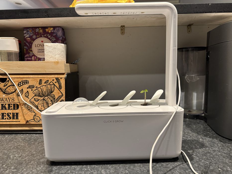 Click and Grow смарт саксия