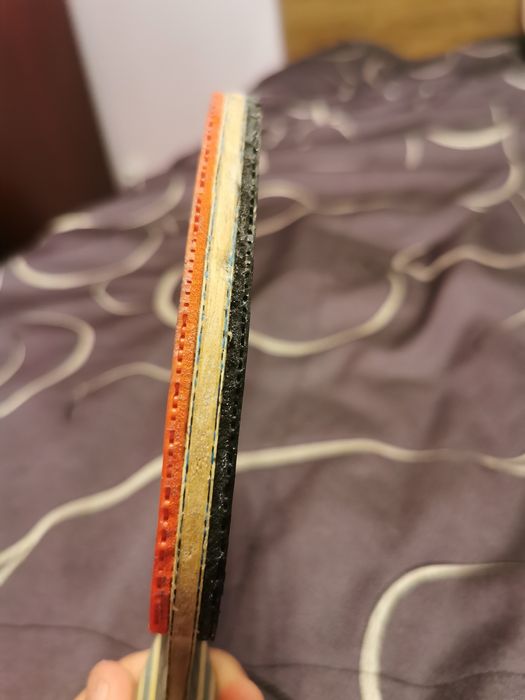 Paleta Butterfly Viscaria