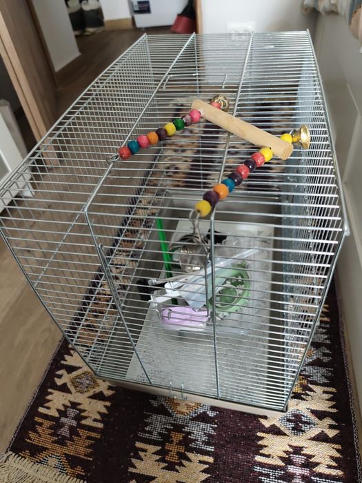 Colivie pt canari/papagali IRENE 3