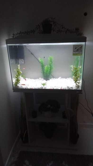 Vand acvariu 120 litri