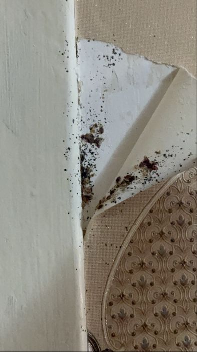 Дезинфекция 100% гарантия