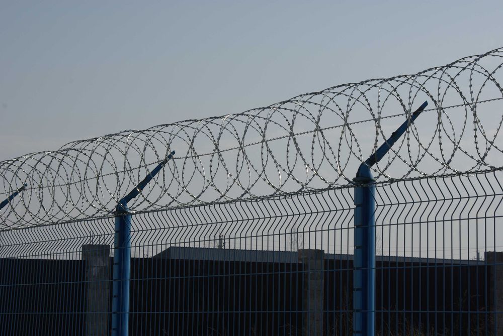 егоза 500мм 10метров