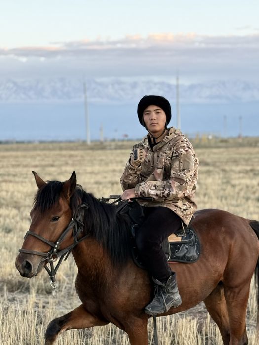 жылқы дөнен