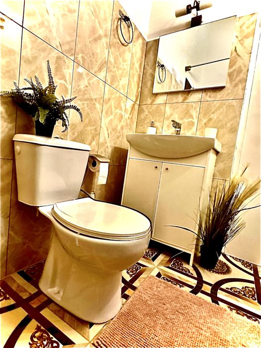 Cazare Arad apartament 2 camere central