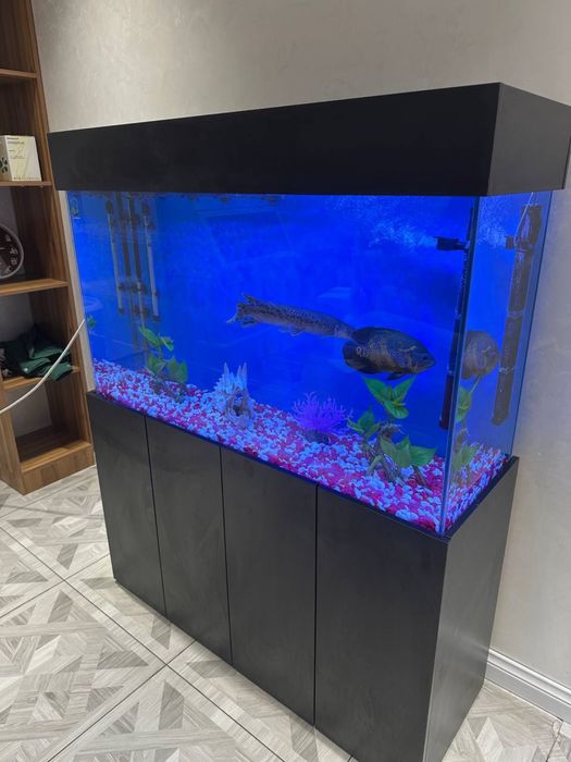 Akvarium yasimiza zakasga