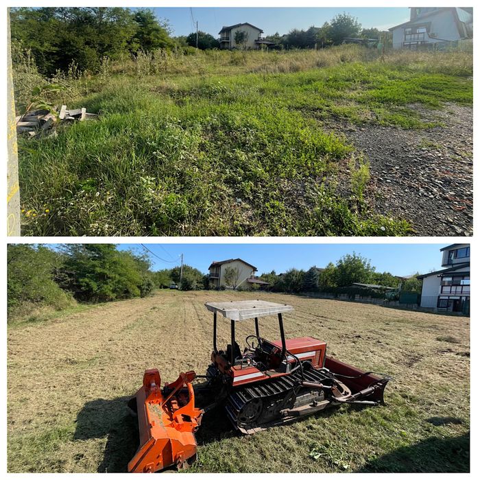 Curatare, întretinere teren, Defrisare, Tocare forestiera, vegetala,