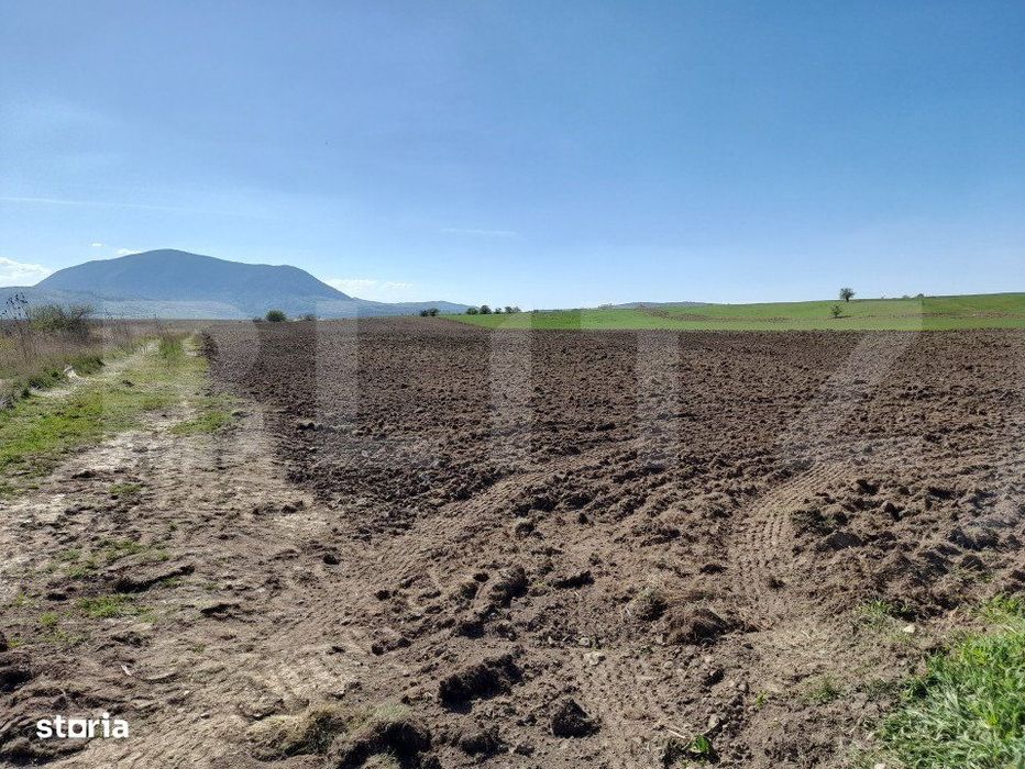 TEREN Extravilan 15000 MP in Zona Codlea
