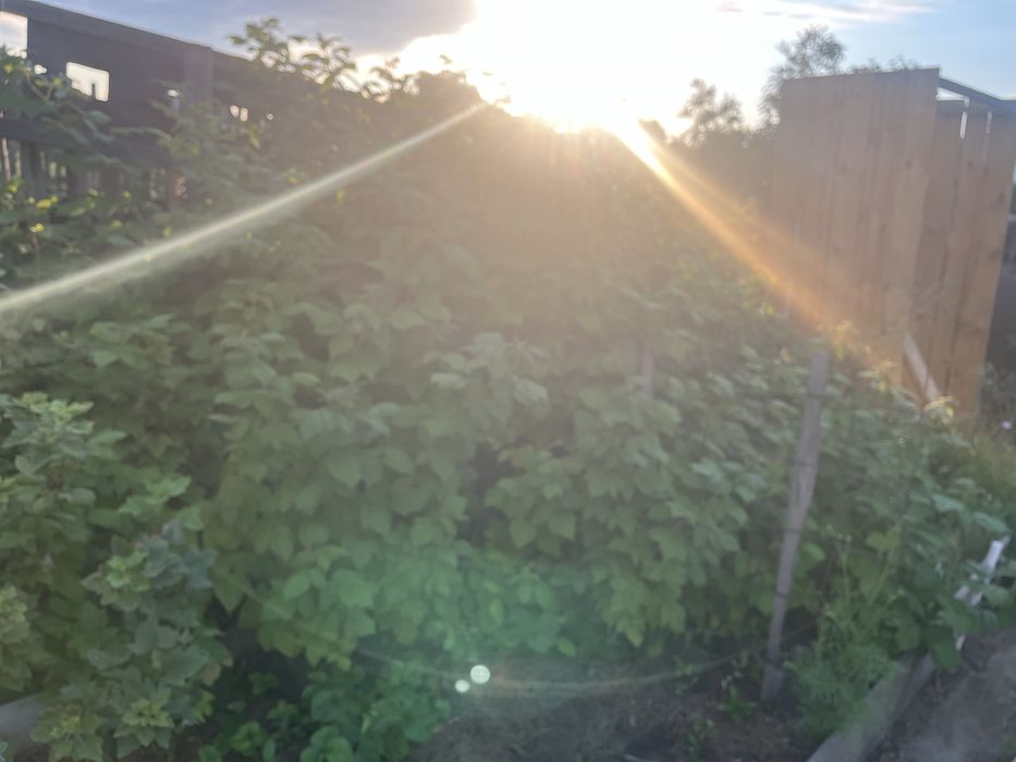 Продам дачу 6 общ 17 дачи