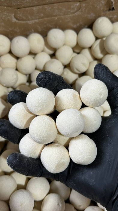 Құрт дәмді әрі спалы/ Очень вкусный курт