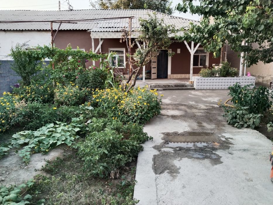 Uy sotiladi Jizzax shahar Bunyodkor mahallasi