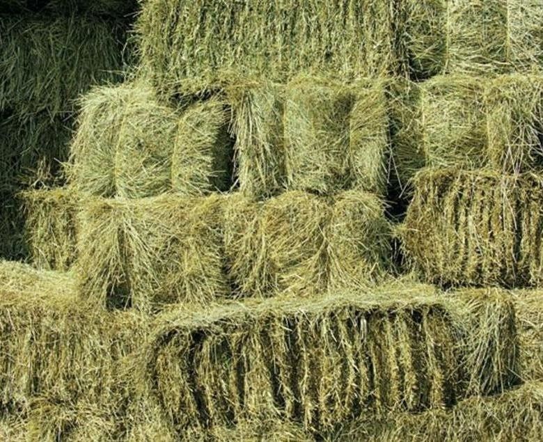 Сено тюковое продается