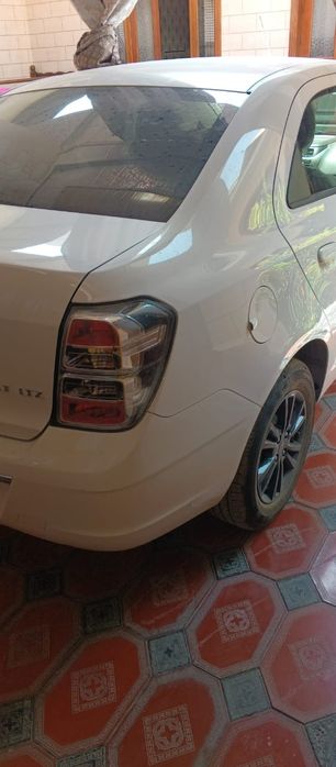 Cobalt midnight 2025 pokalenya propan