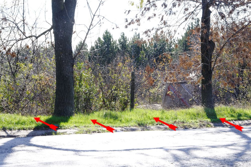 Продава се Парцел в с. Басарбово, Област Русе - 758 кв.м за 92 €/кв.м - Снимка #5